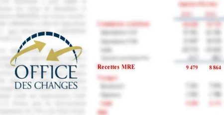 6.9 pc improvement of the revenue of Moroccan Expatriates