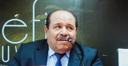 Moroccan women victims of media stereotypes in Gulf countries (Mr Boussouf)