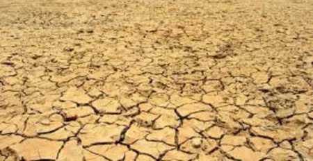 ندوة دولية حول التغيرات المناخية تسلط الضوء على الكفاءات الإفريقية هنا وهناك