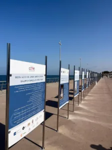 بلجيكــا بـلادي: تاريــخ بلجيكــي مغربــي