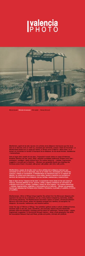 Exposition Méditerranée, miroir des ailes au Festival ValenciaPhoto 2026