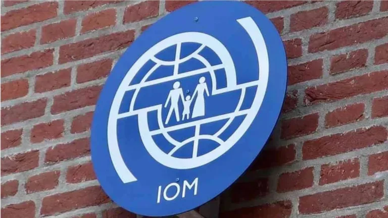 أوروبا: ثلثا الأطفال المهاجرين في 2025 وصلوا دون مرافقين